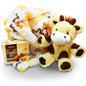 Plush animal and blanket gift set