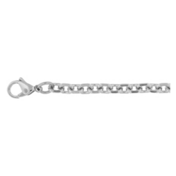 Stainless Steel Chain