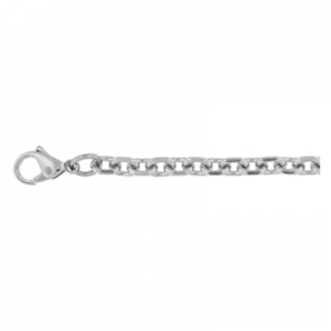 Stainless Steel Chain