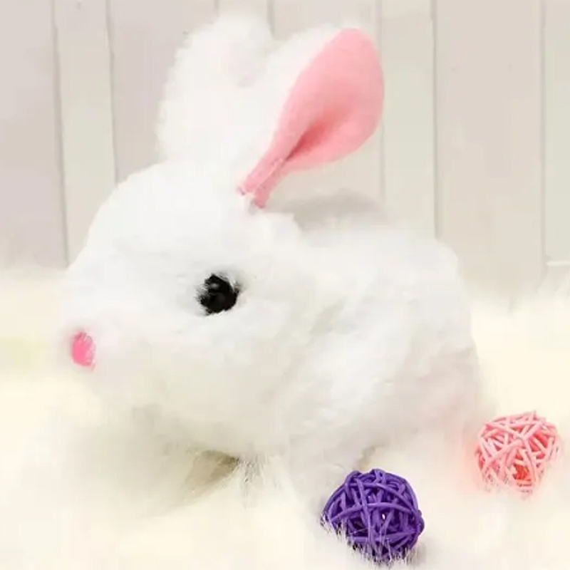 Interactive bunny- Ali
