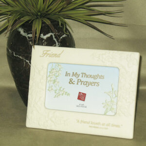 frame Ivory- friends