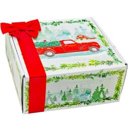 Christmas package box