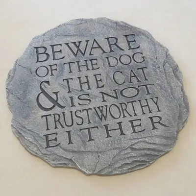 Cat Dog Stepping Stone