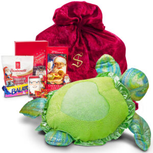 Sea Turtle Chocolate Package