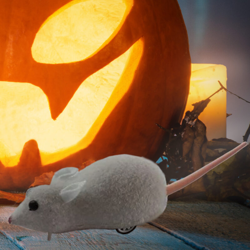 Spooky halloween Mouse pull back