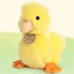 Pretty Duckling 7.5" +$17.95