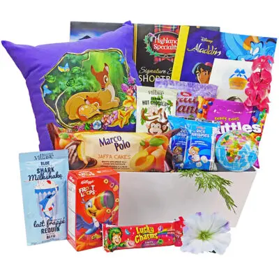 Kid's Birthday Gift Baskets, Games and Toys