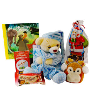 Dreamy Bear Santa Package Boy