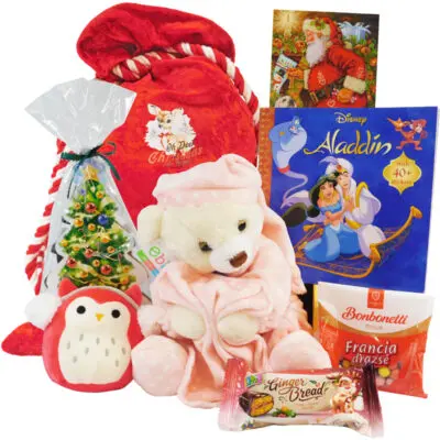 Dreamy Baby Girl Bear Santa Package